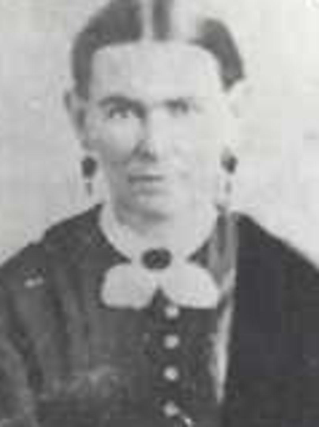 Rheumina Wilson (1829 - 1904) Profile
